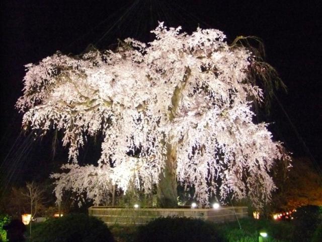 Rejoice Stay Kyoto Nijo Gekko 外观 照片