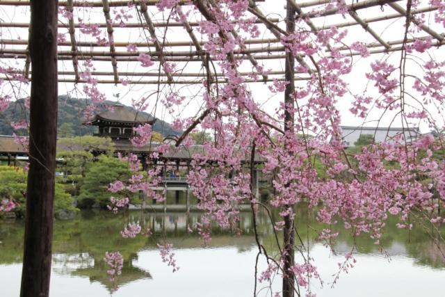 Rejoice Stay Kyoto Nijo Gekko 外观 照片